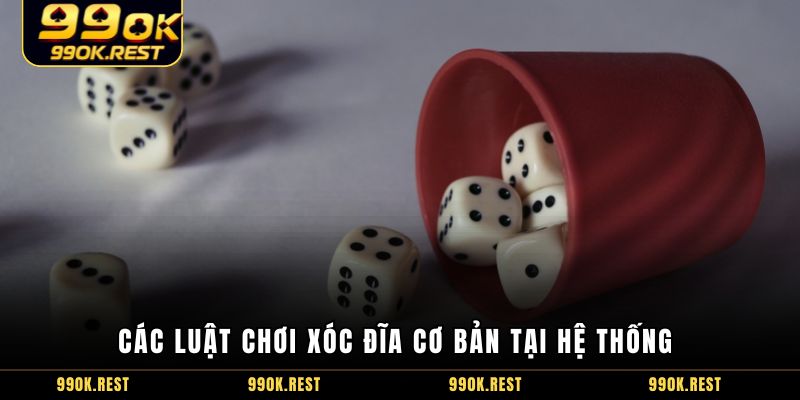 Các luật chơi xóc đĩa cơ bản tại hệ thống